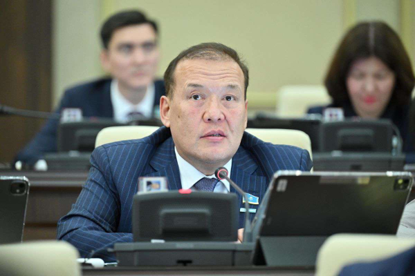 Для казахстанских водителей отменили миграционные ограничения в России &ndash; депутат Мажилиса