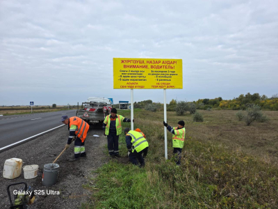 Инфостенды о смертности на дорогах устанавливают в Костанайской области