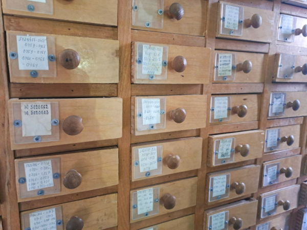 В Приангарье наградили отличившихся работников госархива