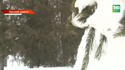 Урожай-2026: почему аграрии Татарстана надеются на раннюю весну вопреки прогнозам