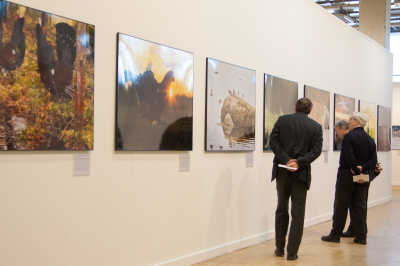 МЦР просит лишить полномочий сдуью, признавшей 272 картин Рериха бесхозными