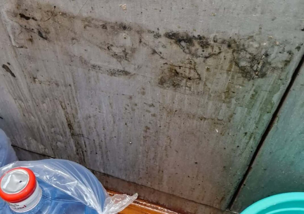 Грязь и посуда с плесенью: родители в шоке от столовой школы Алматы (ВИДЕО)