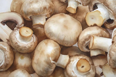 Россия установила новый рекорд по экспорту шампиньонов в 2025 году