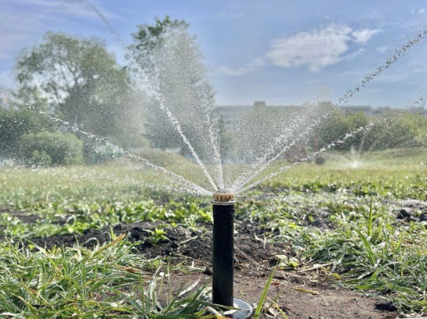 Челнинцев просят не прятать незаконные поливы и бассейны от проверяющих