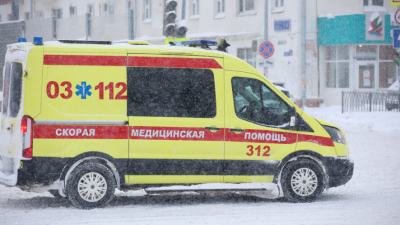 Катание на горке закончилось больницей: соседская собака напала на 4-летнего ребенка на прогулке 21/01/2026 &ndash; Новости