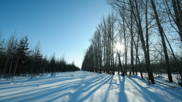 Девятый за месяц: в Казани зафиксирован новый температурный рекорд 25/03/2026 &ndash; Новости