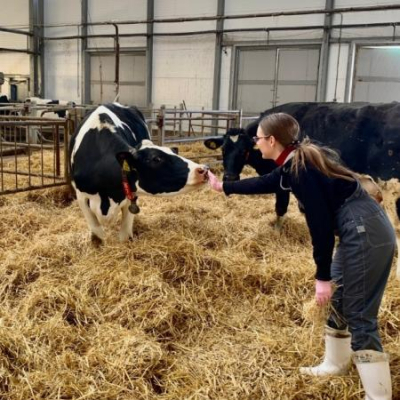 &laquo;Элита&raquo; назвала ключевые правила успешной молочной фермы