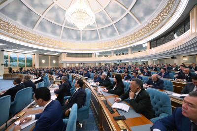 Город Алатау получит особый статус