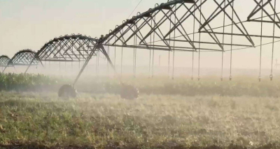 214 млрд тенге выделят в ближайшие три года на субсидирование внедрения водосберегающих технологий в АПК