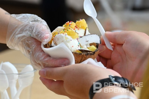 Завод по производству мороженого получил заключение на строительство в Зеленодольском районе