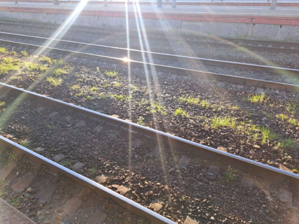 В России срочно построят заводы по производству конструкций для первой ВСМ Москва &ndash; Санкт-Петербург