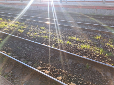 В России срочно построят заводы по производству конструкций для первой ВСМ Москва &ndash; Санкт-Петербург