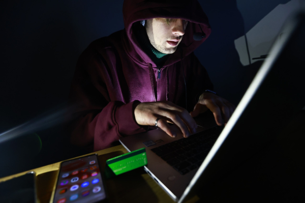 В Госдуме объяснили, что делать, если назвал код мошеннику