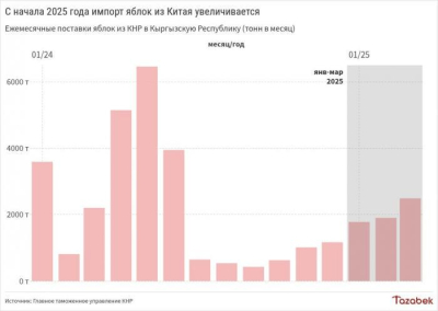 В марте поставки яблок из Китая в Кыргызстан выросли на 13%