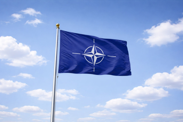Politico: Европейцы считают, что НАТО уже разваливается