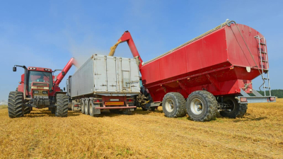 Продкорпорация будет выступать единым импортером зерна в Казахстане