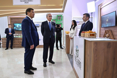 Глава государства заслушал отчет акима Кызылординской области