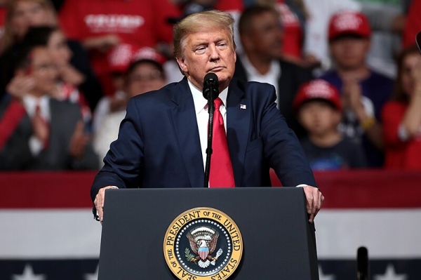 Экс-посол США в РФ Макфол: угроза Трампа о выходе из НАТО стала подарком Путину