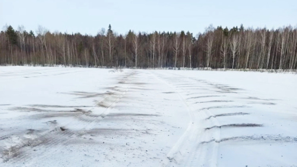 В лесных питомниках Татарстана стартовали работы по &laquo;чернению снега&raquo;