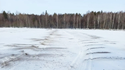В лесных питомниках Татарстана стартовали работы по &laquo;чернению снега&raquo;