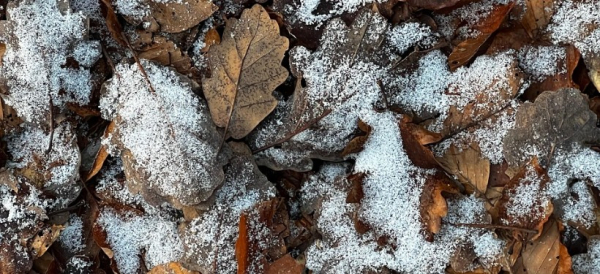 Заморозки и снег: еще несколько регионов Казахстана ждет резкое похолодание