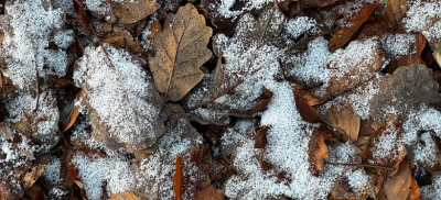 Заморозки и снег: еще несколько регионов Казахстана ждет резкое похолодание