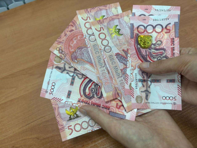 В Казахстане хотят ограничить выдачу банковских карт для отдельных клиентов