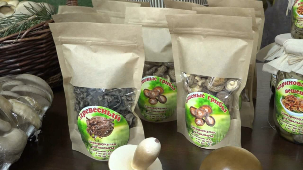 Сёла остались в плюсе