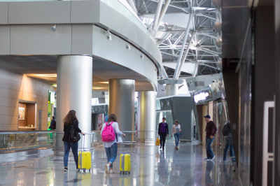 РИАН: Российским туристам дали три финика на обед после отмены рейса в Дубае