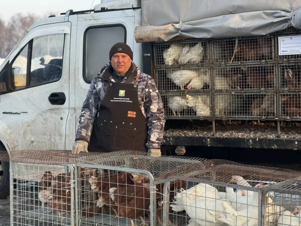 Концерты и торговля: в Зеленодольском районе открылись первые весенние сельхозярмарки