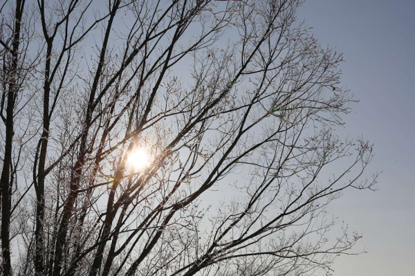 От -5 до +18: температурные перепады и осадки накроют Казахстан