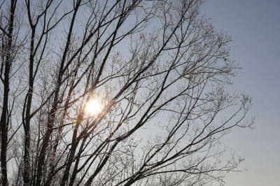 От -5 до +18: температурные перепады и осадки накроют Казахстан