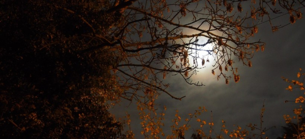 Штормовое предупреждение объявили синоптики на первый день ноября в ряде регионов РК