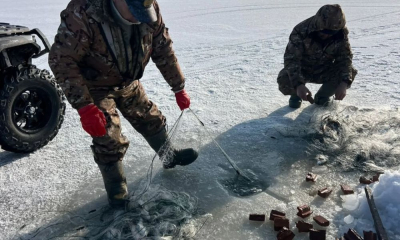 Грубые нарушения правил рыбной ловли: 14 материалов направлены в суд