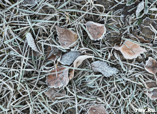 Зима нагрянет в середине недели: центр России ждут снег и заморозки