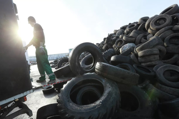 За лебедей из покрышек тоже начнут штрафовать в России