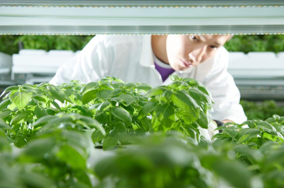 Московские предприятия пищевой промышленности нарастили отгрузку продукции на 20 процентов