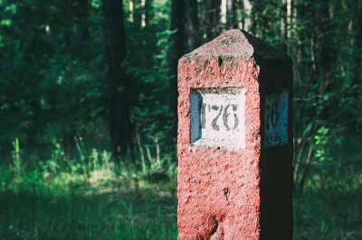 Экоактивисты требуют оформить земли в Шильнинском лесу, изъятые два года назад