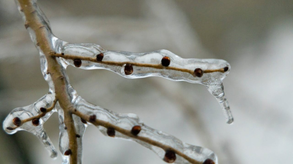 Осенний холод доберется до юга Казахстана
