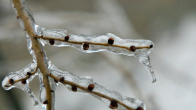 Осенний холод доберется до юга Казахстана