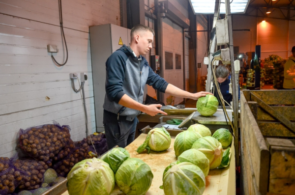 Аграрии Рязанской области смогут вернуть до 100% затрат на экспорт продукции