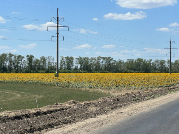 Десять миллиардов заберут у замгубернатора Краснодарского края Коробки и подельников