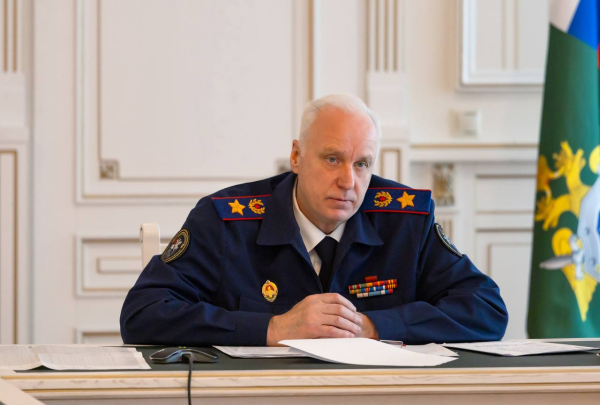 Бастрыкин потребовал доклад по&nbsp;делу о&nbsp;нападении собаки на&nbsp;девочку в&nbsp;Нижнекамске