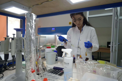 Образование по&nbsp;мировым стандартам