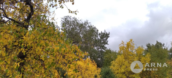 Заморозки до - 2 и тепло до +30: о погоде по Казахстану на ближайшие три дня